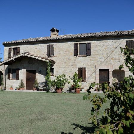 Bed and Breakfast Cascinale La Mimosa Cupramontana Exterior foto