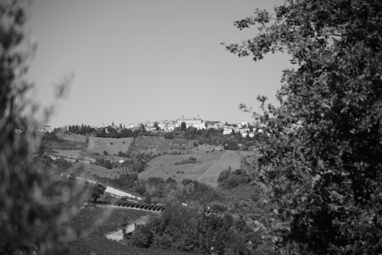 Bed and Breakfast Cascinale La Mimosa Cupramontana Exterior foto